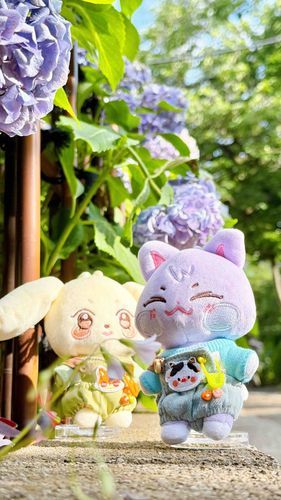 お散歩、楽しいねえ(◍︎´꒳`◍︎)✨️