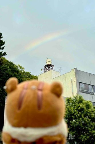 🐿＜にじ は らみのいろ～
😊＜本当だ オレンジっぽいのあるねー
🐿＜あれが らみのしっぽだよㅎㅎ