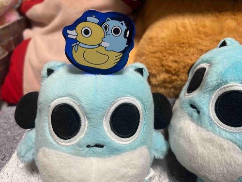 ぼくのアクリルブロックなんだって🩵
ぼくもアヒルさんにのってみたいよ🪿✨