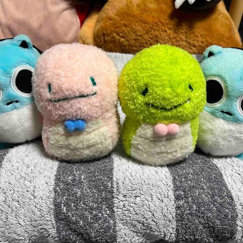 すこしはやいけどらいねんのえとのヘビさんがおうちにきたんだ🐍👏
みどりのこが〝みーすけ〟でぴんくのこが〝ハルちゃん〟だよ✨
おるすばんのときはおんなじえとのたつまるとたつべいがおせわするみたい🐉
きょうからよろしくね☺️