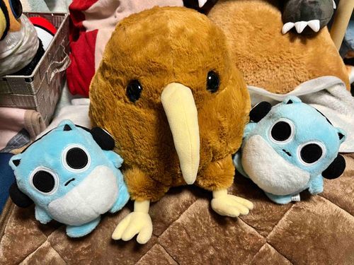 あたらしいおともだちがきたよ👏
キーウィっていうとりさんなんだって
なまえは〝キーちゃん〟にきまったよ✨✨
ペンちゃんたちとハッちゃんはおんなじとりさんだからうれしそうだったよ🎶
きょうからよろしくね🥰