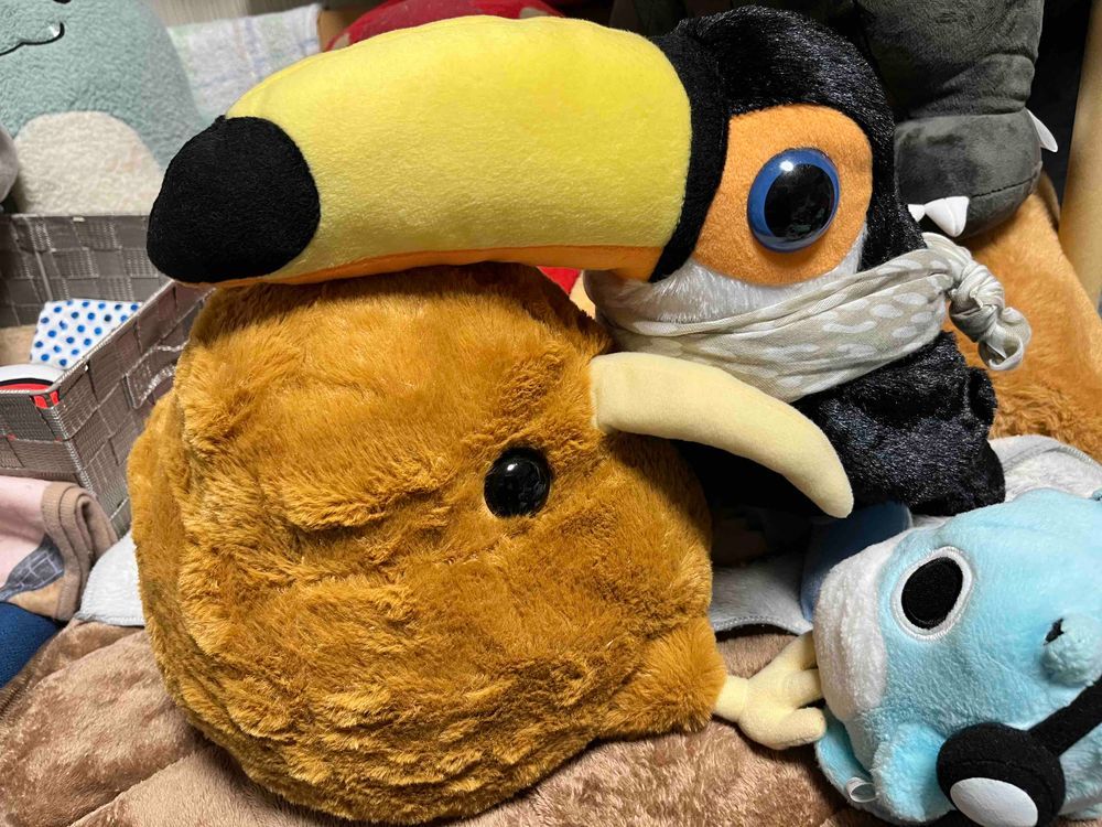 あたらしいおともだちがきたよ👏
キーウィっていうとりさんなんだって
なまえは〝キーちゃん〟にきまったよ✨✨
ペンちゃんたちとハッちゃんはおんなじとりさんだからうれしそうだったよ🎶
きょうからよろしくね🥰