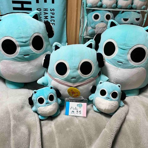アニキのいもうとさんといっしょにいとこのハムきちにいちゃんがあそびにきてたよ🩵🐹
あしたにはかえっちゃうからまたかえってきたらいっぱいあそんでほしいよ✨