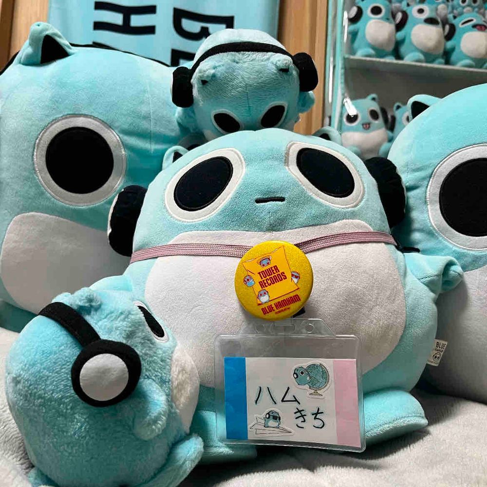 アニキのいもうとさんといっしょにいとこのハムきちにいちゃんがあそびにきてたよ🩵🐹
あしたにはかえっちゃうからまたかえってきたらいっぱいあそんでほしいよ✨