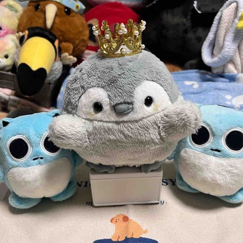 ５がつ２かいめのたんじょうび🎊
ぺんぞうも１さいになったよ🎂
まえよりちょっとおおきいティアラもらってたよ👑
ぺんぞうこれからもよろしくね☺️