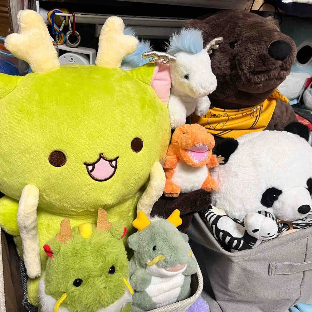 あたらしいおともだちのなでりゅ〜ちゃんだよ🐉✨
アニキがいつもツイッターでみてる湊谷鈴（みなとやすず）さんのキャラクターなんだって！
よぶときはりゅ〜ちゃんってよんでるよ✨
きのうはにいちゃんたちがいっしょにねてくれたからうれしかったみたい🥰
これからよろしくね💕