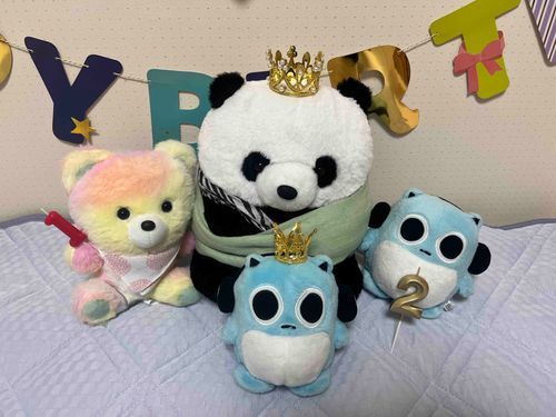 みんなおひさしぶりだよ👋
アニキがじもとのなつまつりのじゅんびですこしいそがしかったんだ💦
8/10にハムちんが2さい、8/14にタイちゃんが1さいになったよ🥳
ふたりともおめでとう🎈✨✨