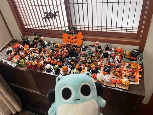 みんなおはよう！
きょうはひさしぶりにぼくだよ🩵🐹
にちようびにアニキのじいちゃんのおうちにあそびにいったらカボチャがたくさんあったよ🎃
ことしもハロウィンたのしみだよ✨✨