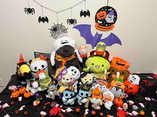 みんなおそくなったけどハッピーハロウィンだよ🎃👻
きのうアニキがおやすみでじゅんびしてくれたんだ☺️
ことしもみんなとできてたのしかったよ✨✨