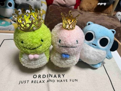 みーすけとはるちゃんも1さいになったよ🥳👑✨
ふたりともこれからもよろしくね☺️💞
