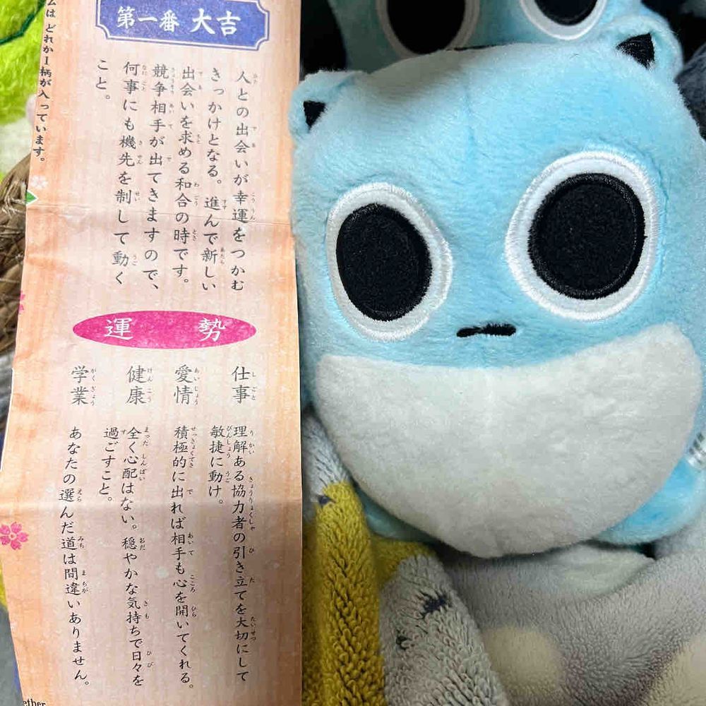みんなあけましておめでとう🎍
ことしもよろしくおねがいしますだよ✨
きょうはアニキがおともだちとおまいりにいったりしてたからおるすばんしてたよ🏠
おみやげにおまもりとおみくじもらったよ❣️
さいごのしゃしんははつひのでなんだって🌅