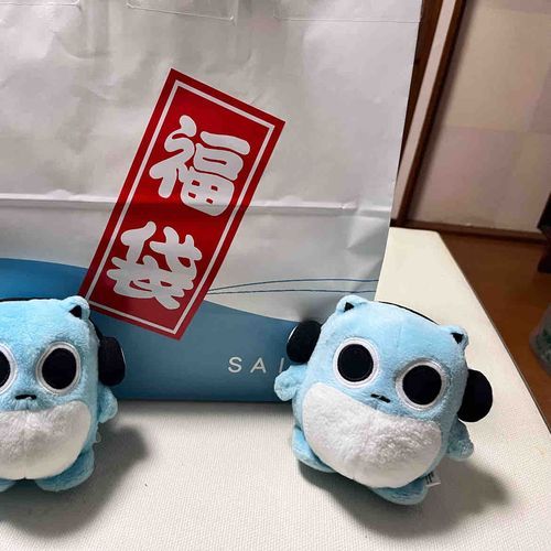 アニキきょうからまたおしごとがんばってね📣
しゃしんはまいとしかってるおかしのふくぶくろとアニキがきのうたべてきたラーメンだよ🍫🍜✨