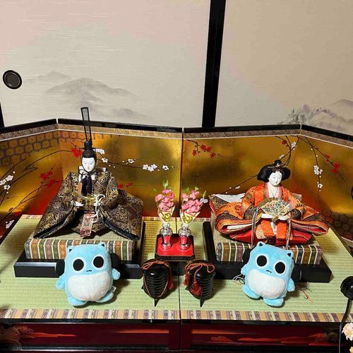 お家のお雛様と一緒に写真撮ったよ🎎📸✨✨