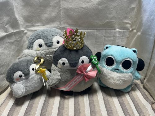 みんなおひさしぶりだよ👋
アニキがおしごとのしけんうけたりでいそがしかったんだ！
ぺんたがこのあいだ2さいになったよ🎊
おたんじょうびおめでとう🥳✨✨