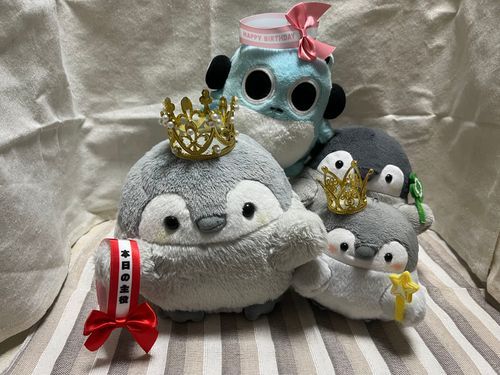 ぺんじとぺんぞうも２さいになったよ🎊🎉
ふたりともおめでとう🥳✨✨
ふたりはたんじょうびがちかいからいっしょにたんじょうびかいしたんだ🎂