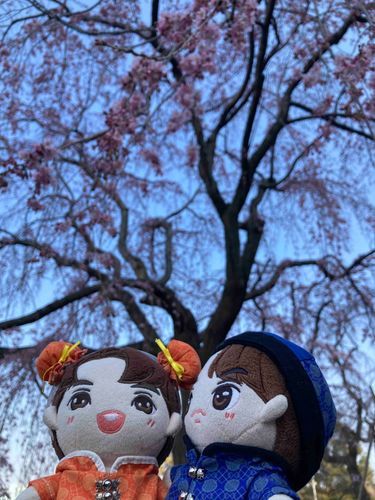 おはな いっぱい さいてたぬ🌸