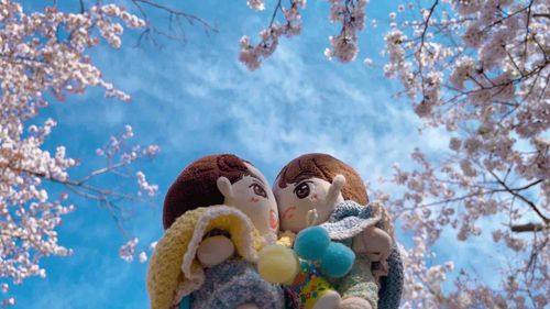 かれしと おはなみ してきたぬ🌸