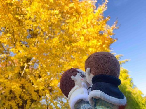 かれしと こうよう みにいってきたぬ🍁