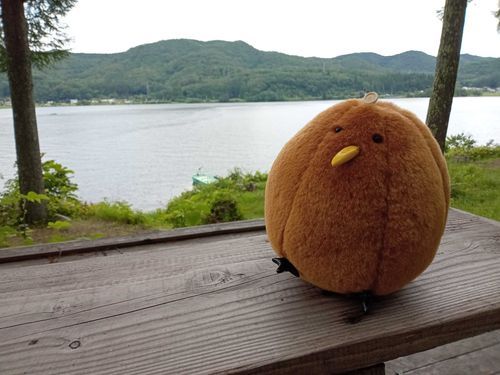 キーウィです