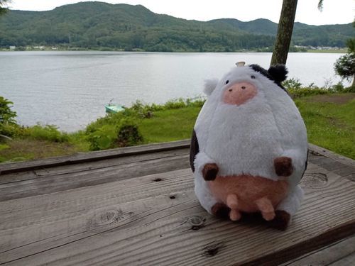 ウシです