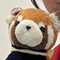 コロネちゃん