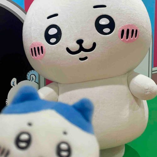 ハチワレ　ちいかわ　凪くん