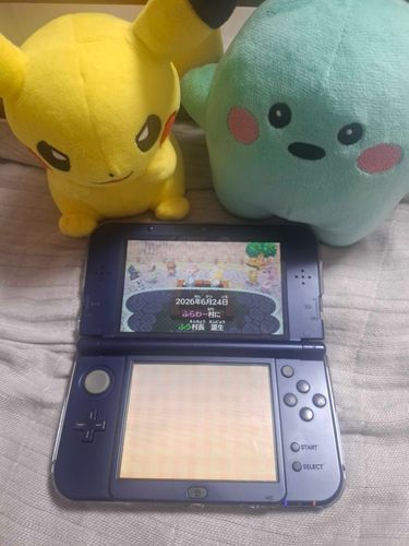 とび森再出発！
ピカすけとフローも見守ってくれます