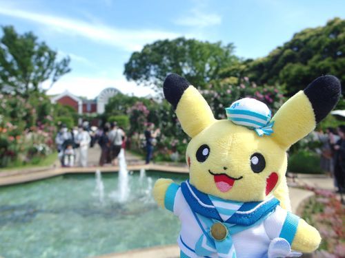 港の見える丘公園のお庭もバラがいっぱい！