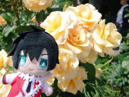四季っす！
背景にバラ、似合うっすか？