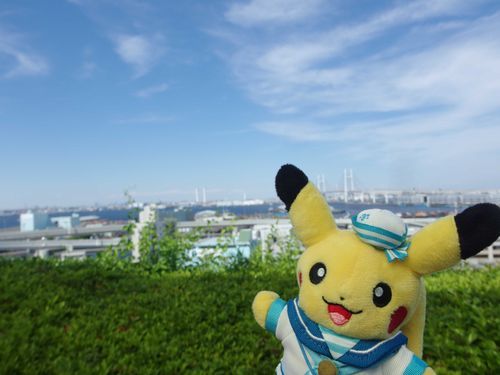 山の上から港を見ながら一休み！