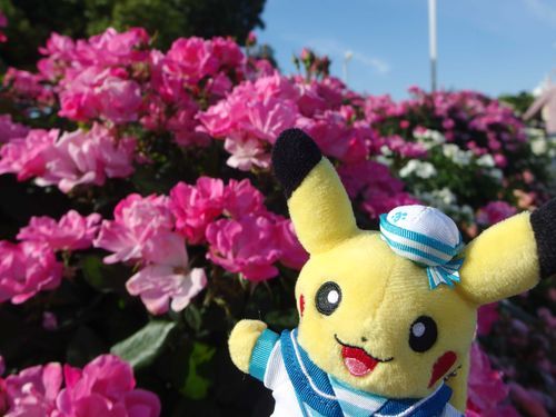 以上、横浜歩きでした！