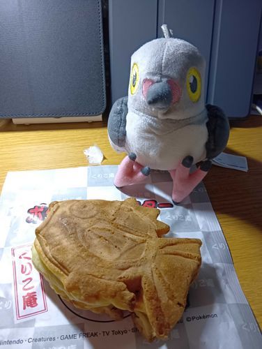 マメパトの、深夜0時の秘密の時間っポ、いただきっポ〜