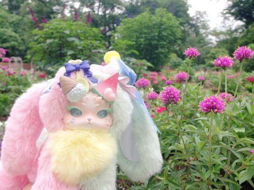 6月のはじめころにチームしらとに入った翠華（すいか）みゃ
主さんが忙しくて名前がついたのは今日なのみゃ
よろしくみゃ