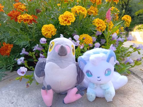 最近来たロコンだポ
小さいっポ〜