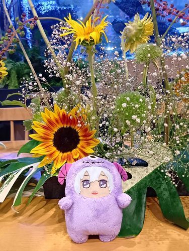 主さん、頑張ったけど頑張りきれずにお仕事早退、いつものフラワーパークで息抜きしたよ
