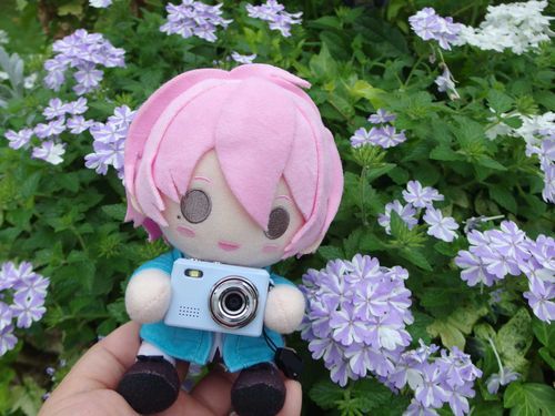 ひかるです、今日はカメラを借りてお花を撮りに来たよ
こんなに小さなカメラだけど撮れるのすごいね！