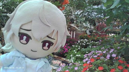 借りたカメラでセイさんとお花を撮ってみたよ
