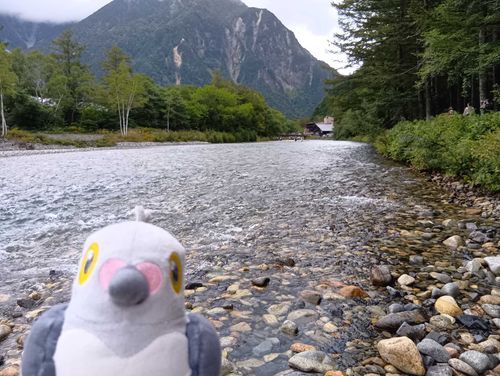 14日はバスの旅に行ったんだポ
上高地、綺麗な場所だったっポ〜