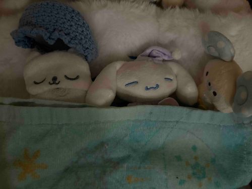 睡眠💤