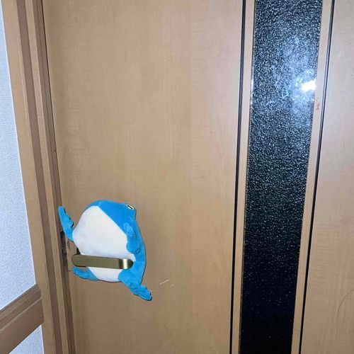 この家...何か変