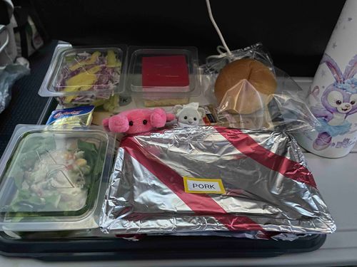 あこがれの機内食！！！