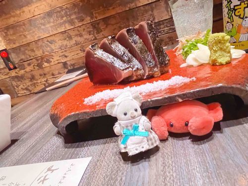 土佐の新鮮おりょうりやさん、おいしかったね…！