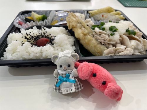 やっぱりぬし、お弁当かなり苦手なんだね…
