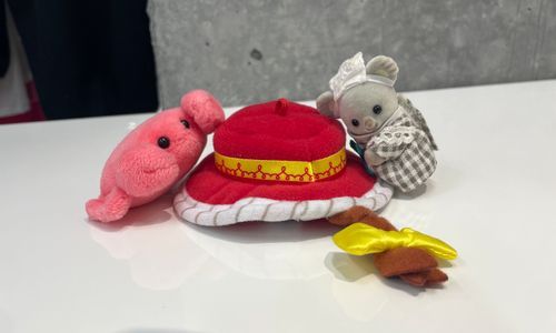 ばいとちゃんからキュートなお土産もらったよ〜！