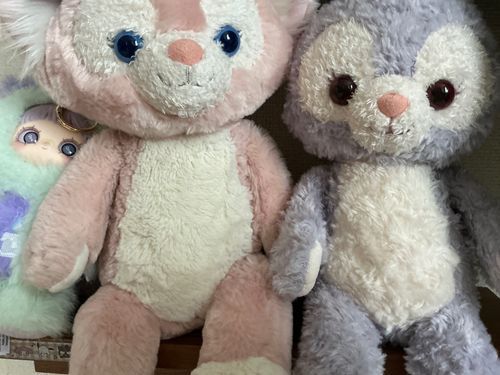 めろたちんちの姉貴がお金かかっちゃうから辞めるんだって
↓主
入れて2日でフォロワー2人なんて嬉しいです！コメを返してくれた方々も可愛くてほっこりする返事でした！
ありがとうございました(๑╹ω╹๑ )😭
(1週間無料体験だけど心配だから)