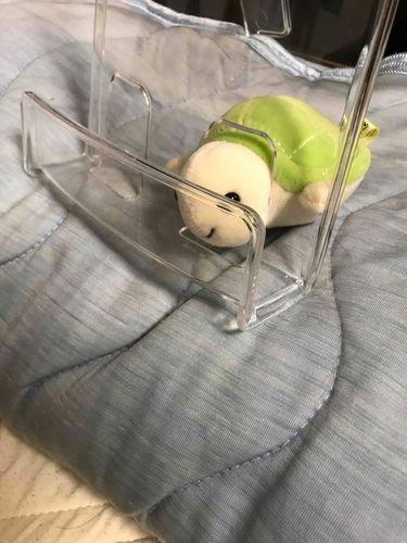 はさまった🥪
主とお友達がカブみたいに引っ張ってたすけてくれたよ