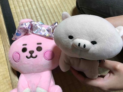 友達のとんたろうとツーショット🐰（くーきー）