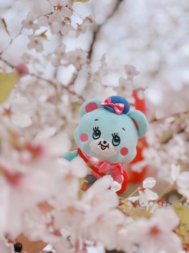 さくら🌸はるが やってきたねえ～🎵