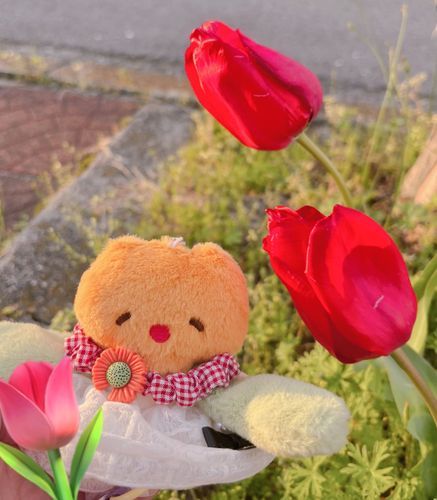 🌷❣️