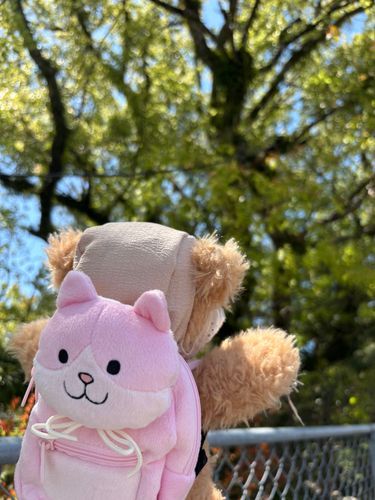 🧸ままと おでかけ！ このあいだ じっか からはっけんした リュックせおって しゅっぱ～つ❣️おひさまがきもちいいね‪🔆‬